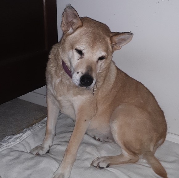 Meet your Posher, Sally - Picture 13 of 16